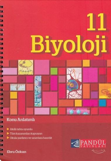 Pandül Yayınları 11. Sınıf Biyoloji Defteri